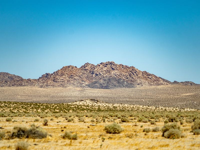 40 Ac Off-Roading Paradise : Lucerne Valley : San Bernardino County : California