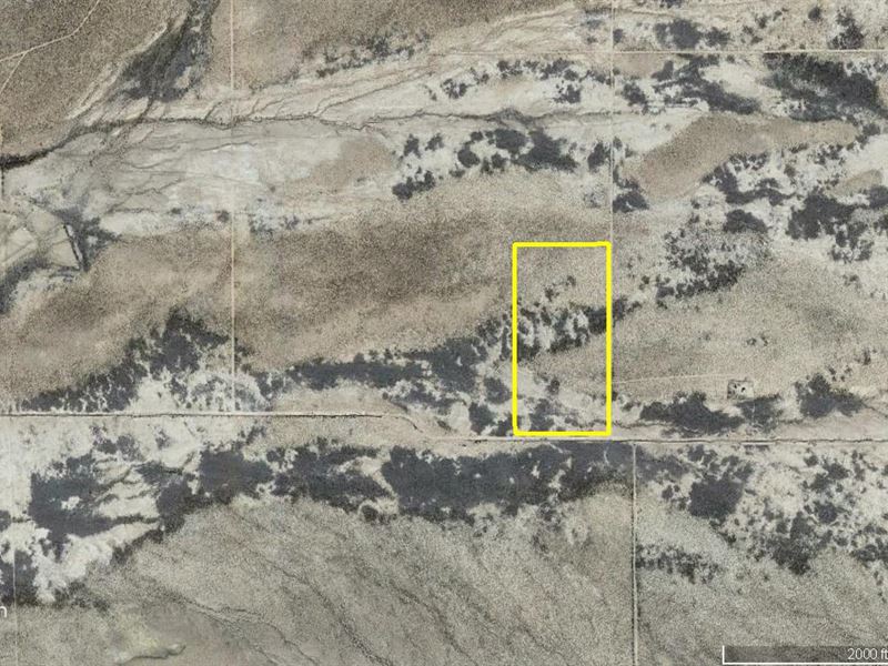 Fantastic West Texas Property : Fort Hancock : Hudspeth County : Texas