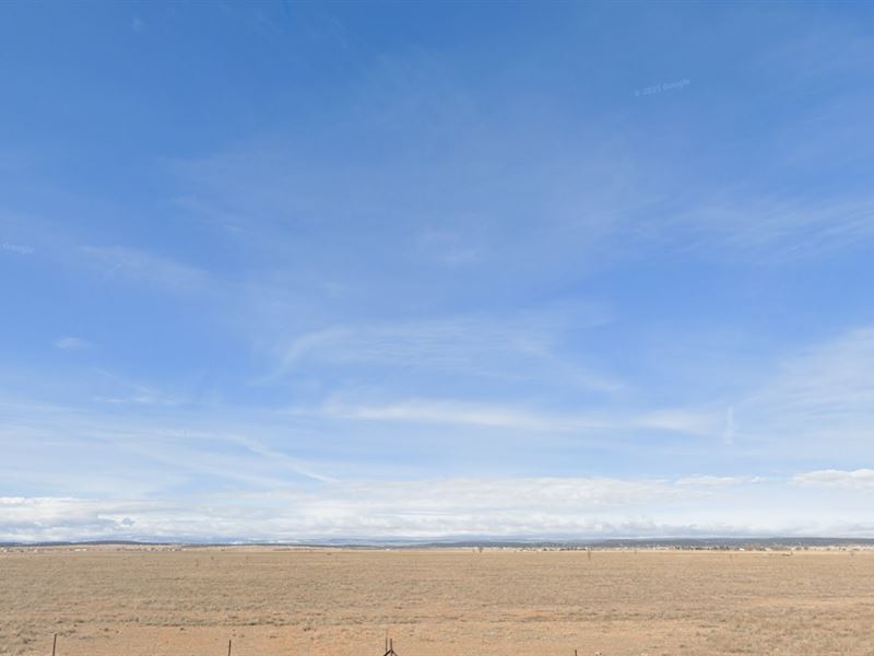 Amazing 1 Acre in NM for $79 Down : Moriarty : Torrance County : New Mexico