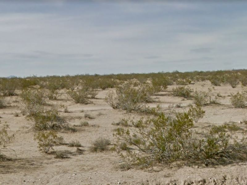.24 Acre Residential Lot in CA : California City : Kern County : California