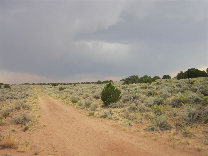 Mountain Views Near Town & Private : Sanders : Apache County : Arizona