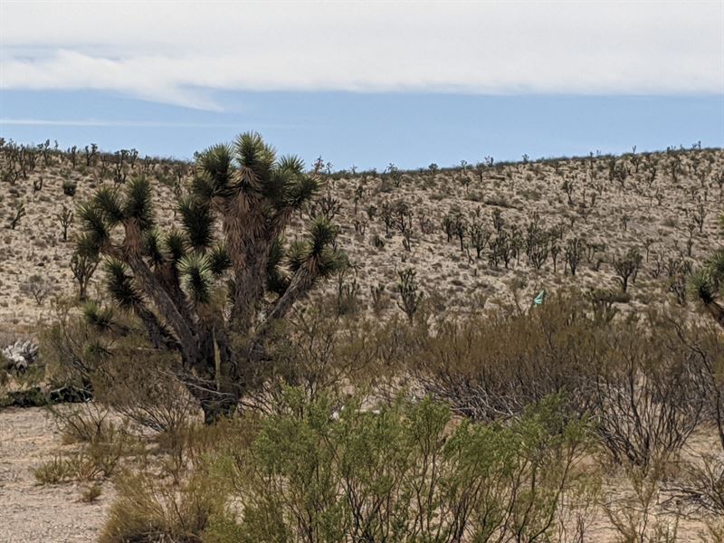 $99/Mo & You Own It, Power Nearby : Dolan Springs : Mohave County : Arizona