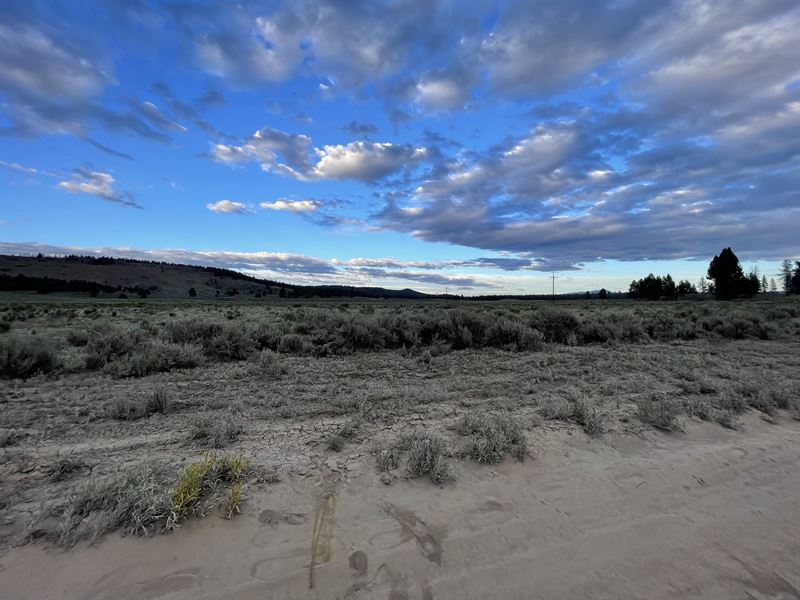 Cleared & Level Off Grid OR Parcel : Chiloquin : Klamath County : Oregon