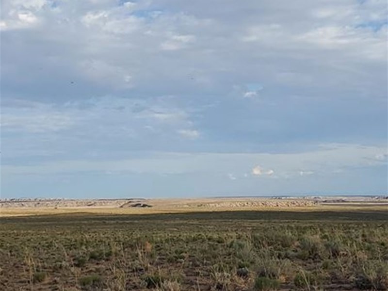 To Have and to Hold : Holbrook : Apache County : Arizona