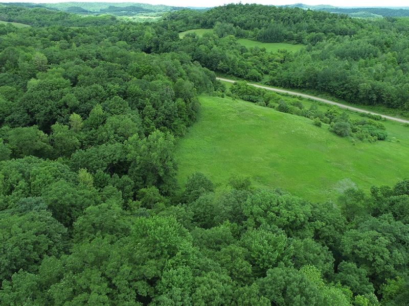 63 Acres Trempealeau County, WI : Independence : Trempealeau County : Wisconsin