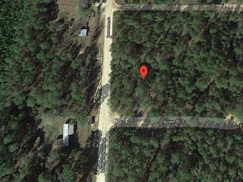This Lot Can Be Yours Today : Interlachen : Putnam County : Florida