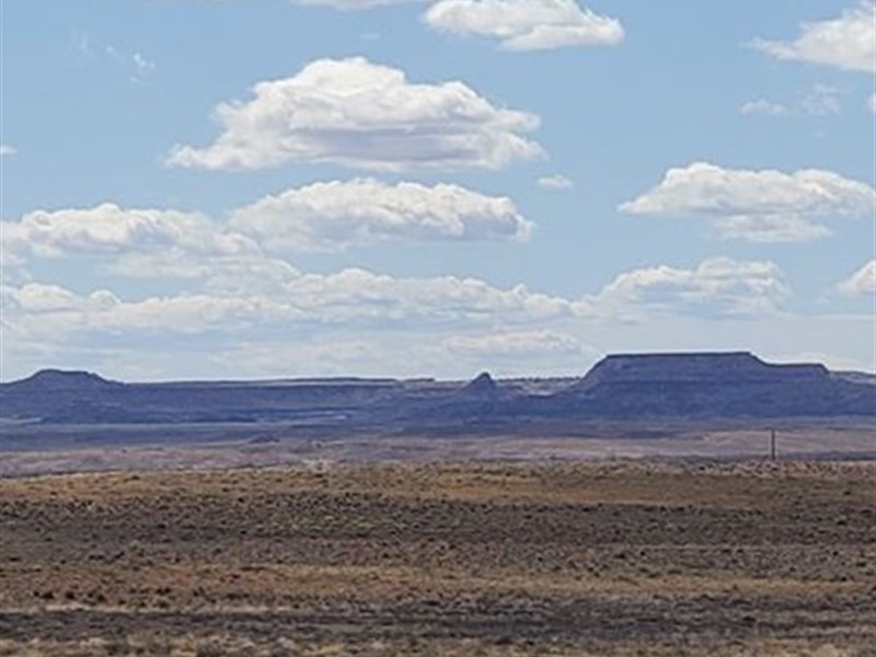 Remote Lot, Blm Land Connected : Sanders : Apache County : Arizona