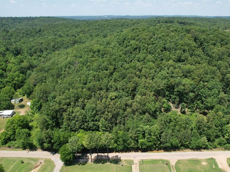 Cave Creek 3 Ac Lot : Batesville : Independence County : Arkansas