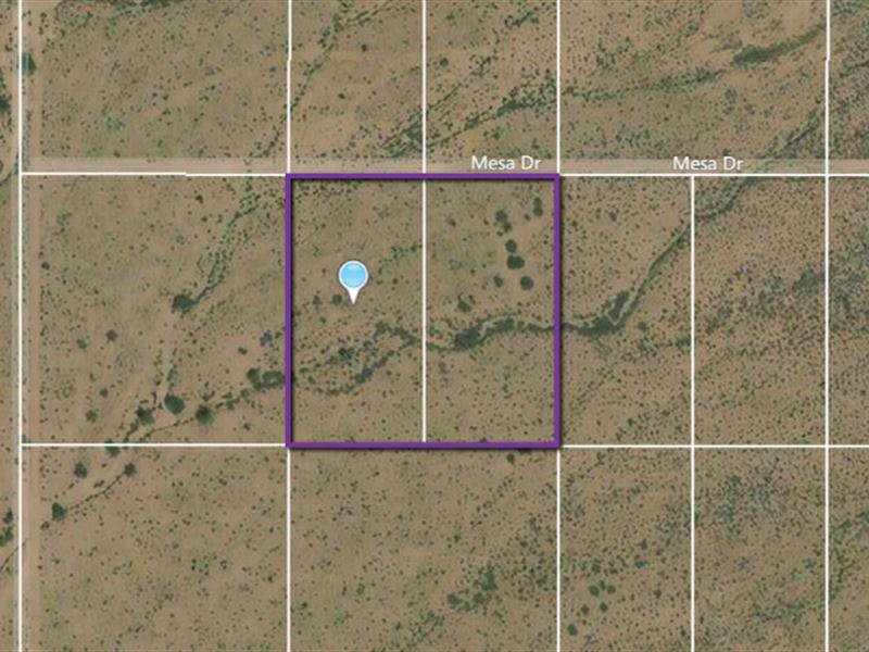2 Large Lots in Kingman, AZ : Kingman : Mohave County : Arizona