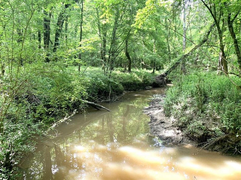 80 Acres for Sale Near Orrville : Orrville : Dallas County : Alabama