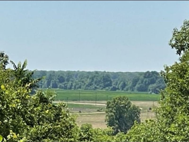 216 Acres in Yazoo County in Yazoo : Yazoo City : Yazoo County : Mississippi