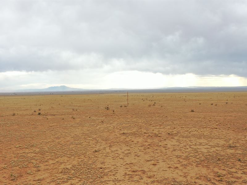 .5 Acre Vacant Lot Near Albuquerque : Belen : Valencia County : New Mexico