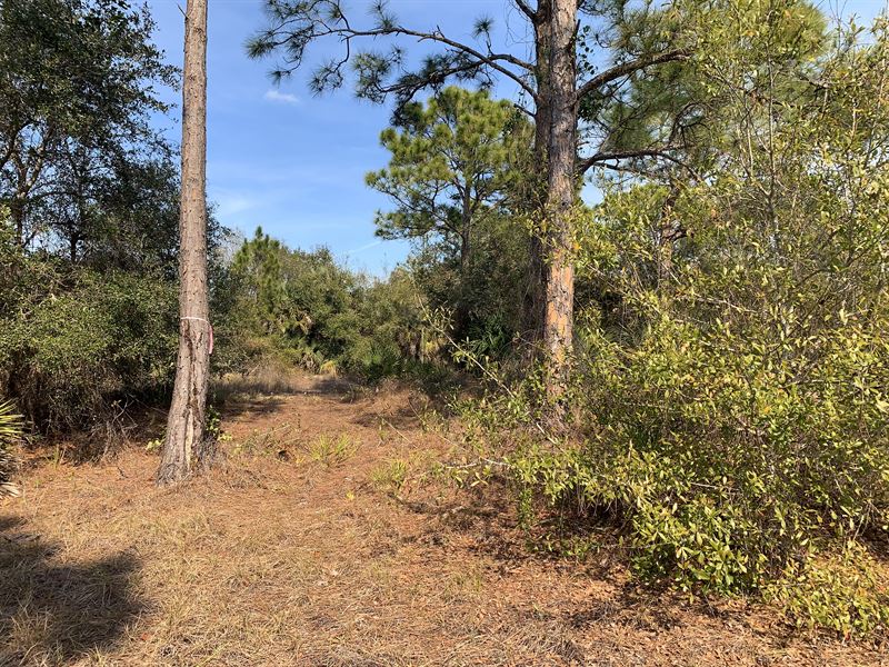 .206 AC in Punta Gorda for $227/Mo : Punta Gorda : Charlotte County : Florida