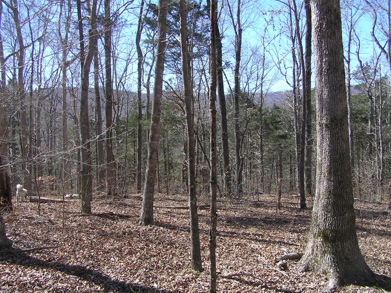 Views, Spring, Owner Finance : Beersheba Springs : Grundy County : Tennessee