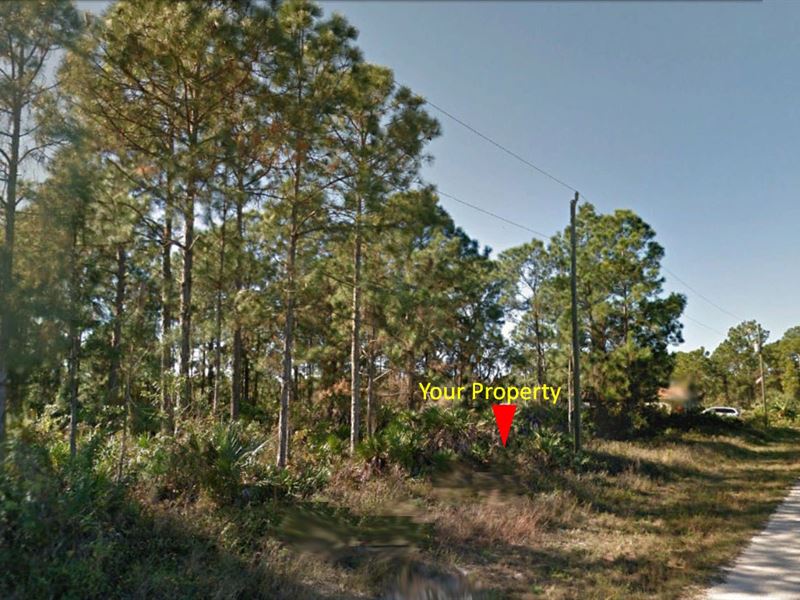 .23 Acre Near Gulf Of Mexico : Lehigh Acres : Lee County : Florida