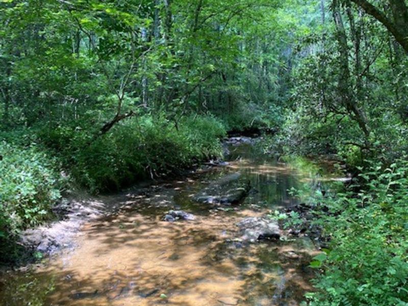 4.3 +/- Acres Unrestricted, Wooded : Altamont : Grundy County : Tennessee