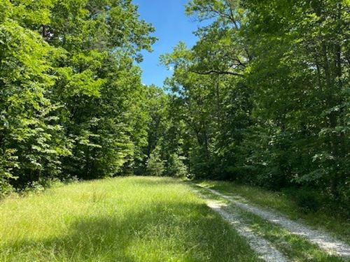 10 +/- Ac Wooded Property, Secluded : Altamont : Grundy County : Tennessee