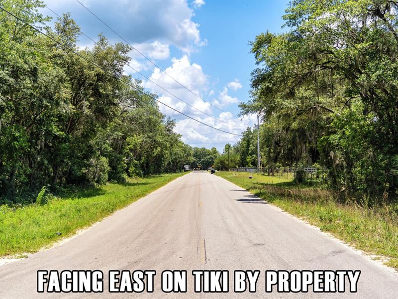 $6,900 Down, Corner Lot, Seller Fin : Palatka : Putnam County : Florida