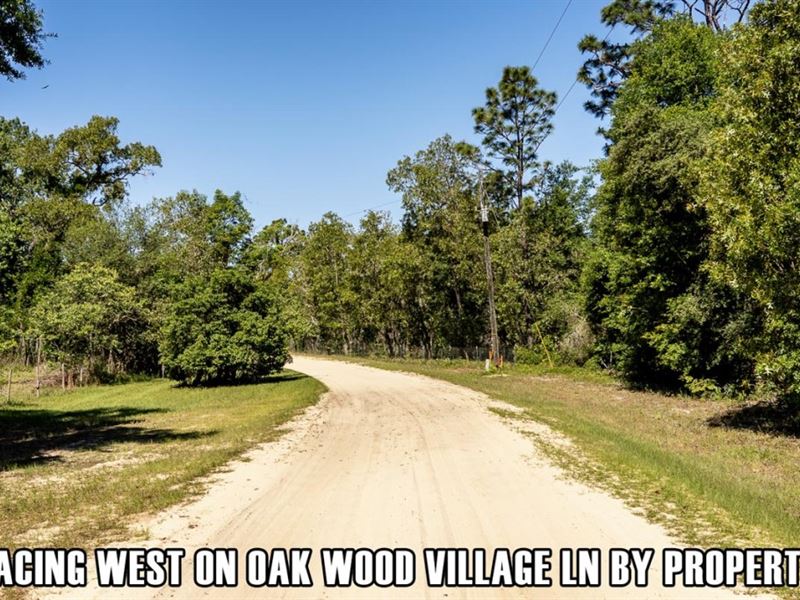 $4,900 Down, Owner Fin, Near Town : Hawthorne : Putnam County : Florida