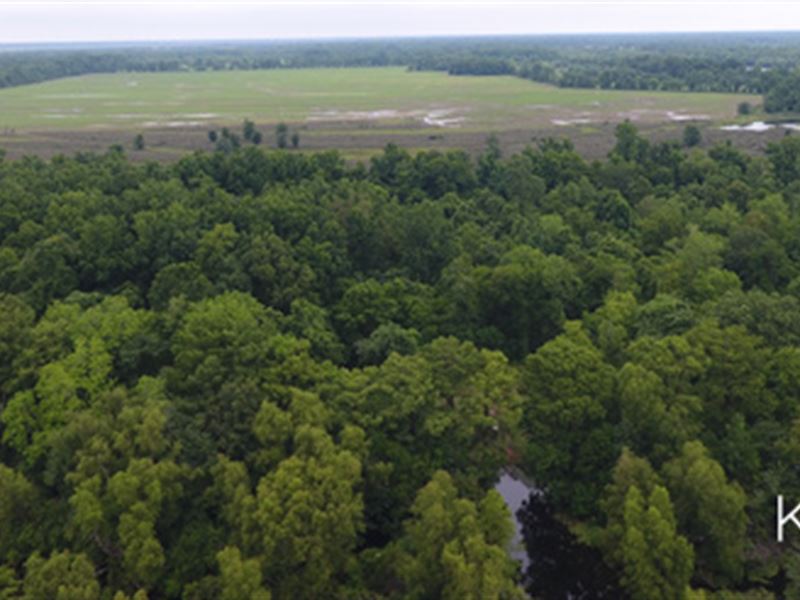Hunting Club Share for Sale : Marksville : Avoyelles Parish : Louisiana