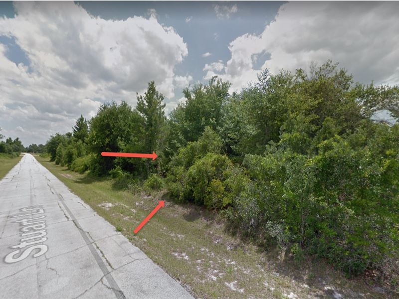 Beautiful Lot Near Disney : Poinciana : Polk County : Florida