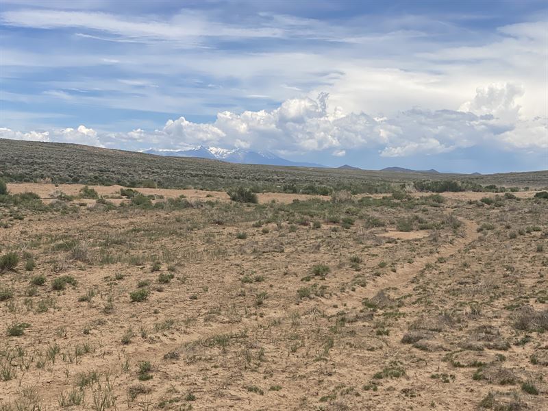 $25 Down in Rio Grande Ranchos : Sanford : Costilla County : Colorado