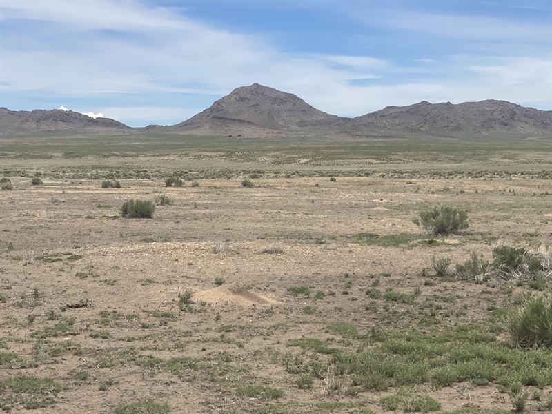 $100 Down and Affordable Monthlies : Sanford : Costilla County : Colorado
