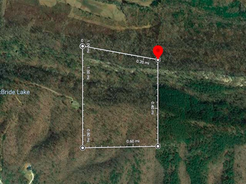 Recreational Parcel, View and Creek : Jacksonville : Calhoun County : Alabama