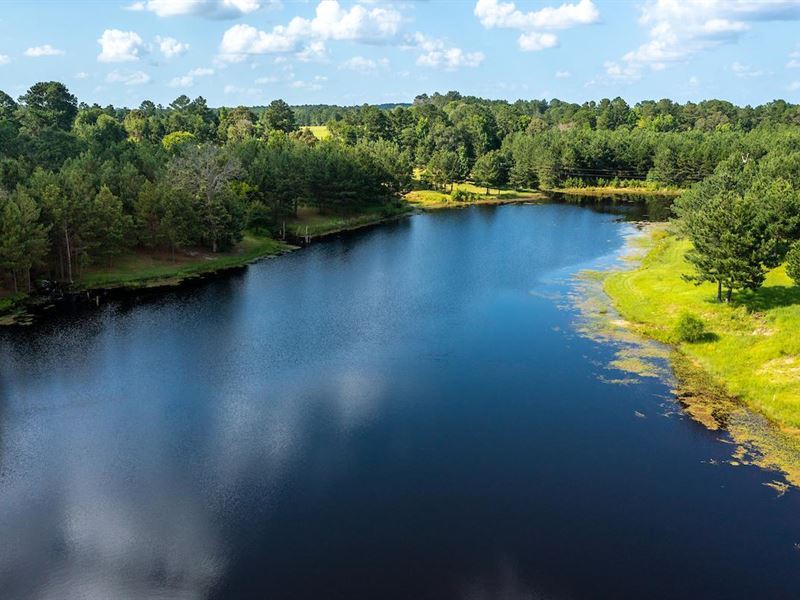 Star Lake Ranch : Palestine : Anderson County : Texas