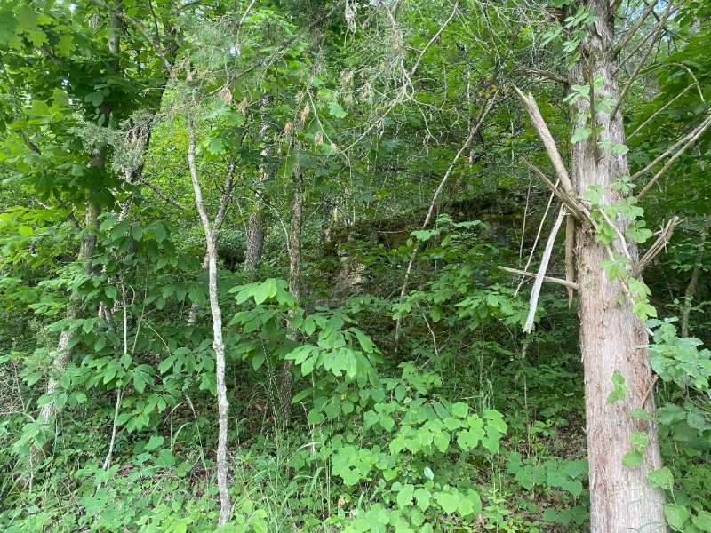 Little Piney Acres Tract 1 : Newburg : Phelps County : Missouri