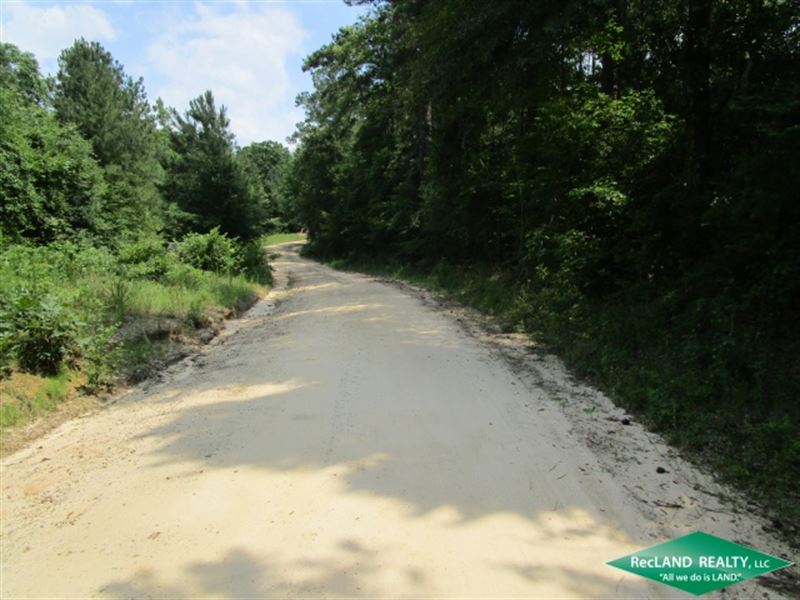 83.5 Ac, Timber and Hunting Tract : Burkeville : Newton County : Texas