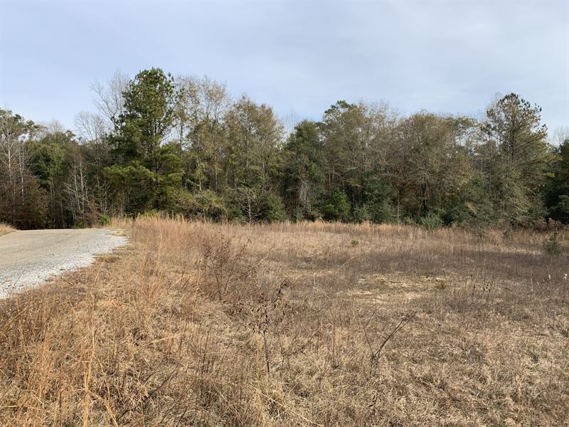 homes for sale by owner in pickens county alabama