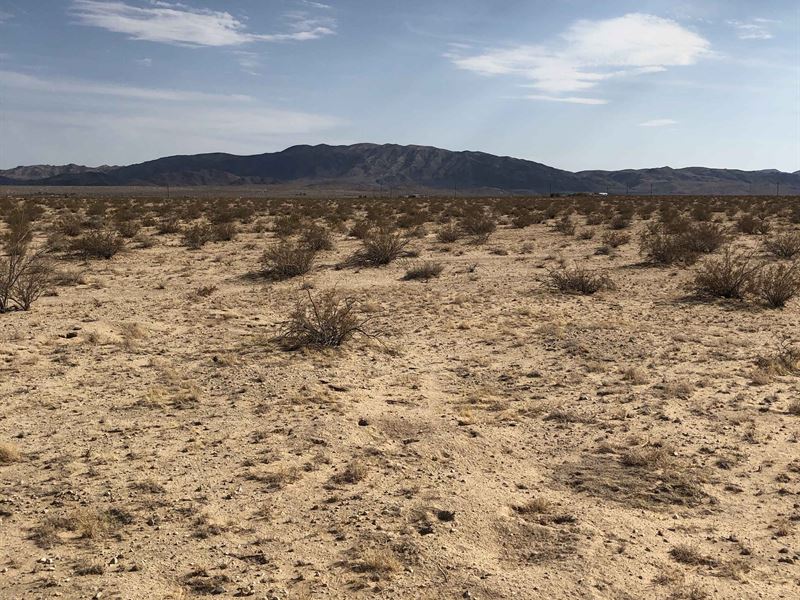 Twentynine Palms, $249/Month : Twentynine Palms : San Bernardino County : California