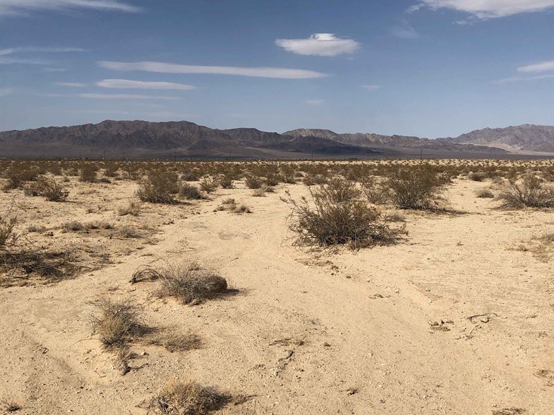 Twentynine Palms Oasis, $249/Mo : Twentynine Palms : San Bernardino County : California