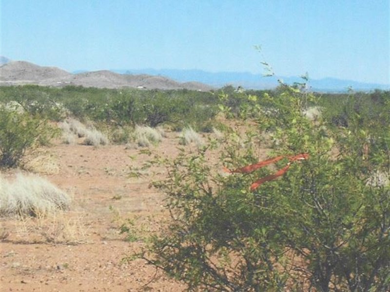 Great Climate, Sq. Lot, One Left : Willcox : Cochise County : Arizona