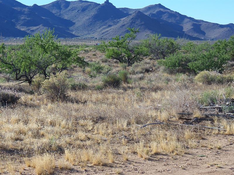 Beautiful High Desert Lot, Terms : Golden Valley : Mohave County : Arizona