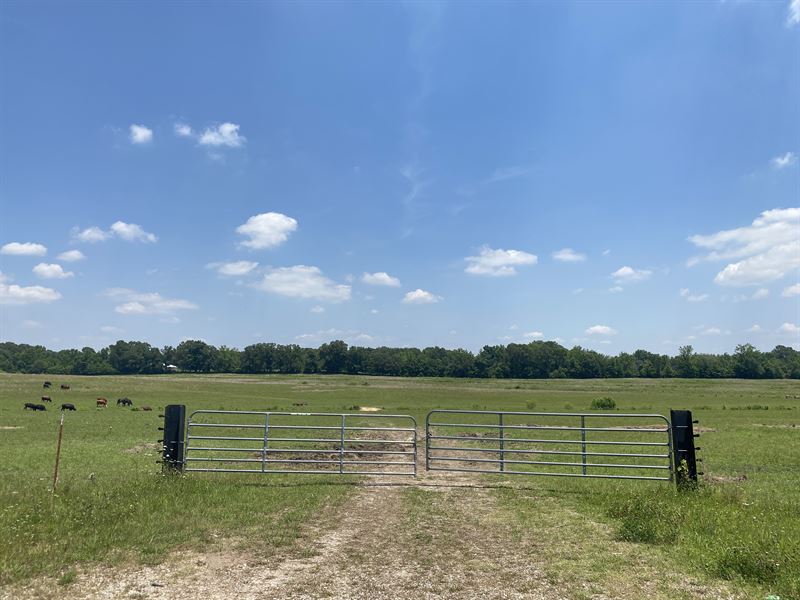 Cattle Farm for Sale in TN : Adamsville : McNairy County : Tennessee