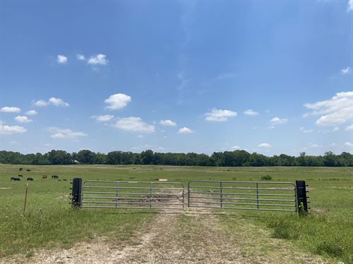 Cattle Farm for Sale In TN : Adamsville : McNairy County : Tennessee