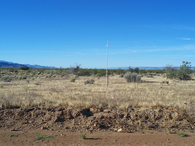 Best Value in The Area : Golden Valley : Mohave County : Arizona