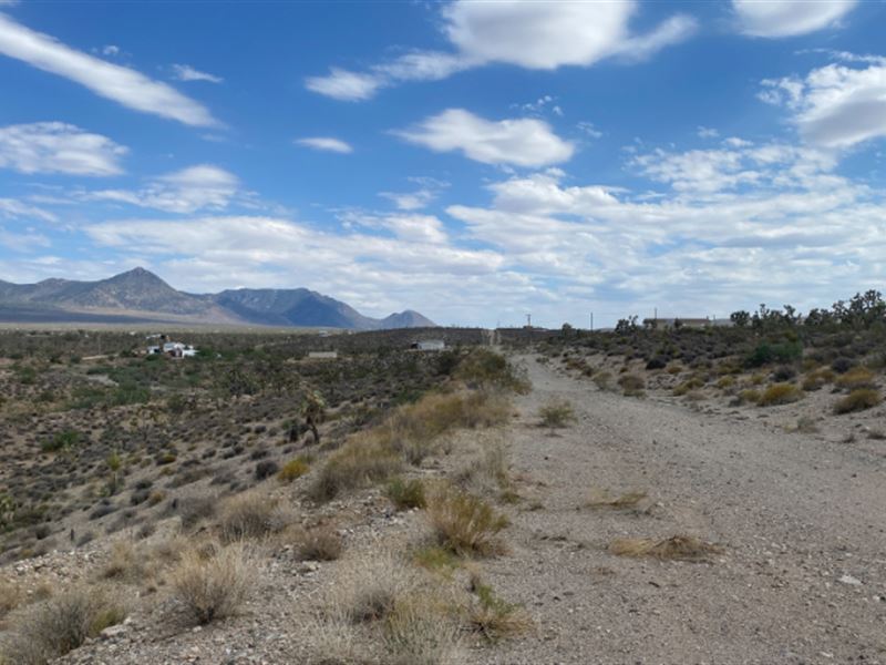 Double Lot for Sale : Meadview : Mohave County : Arizona
