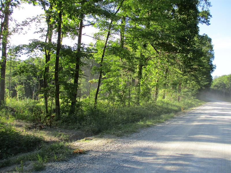 No Restrictions, Cleared Home Site : Pikeville : Bledsoe County : Tennessee