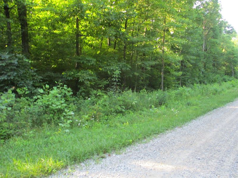 Level, Near Park, No Restriction : Pikeville : Bledsoe County : Tennessee