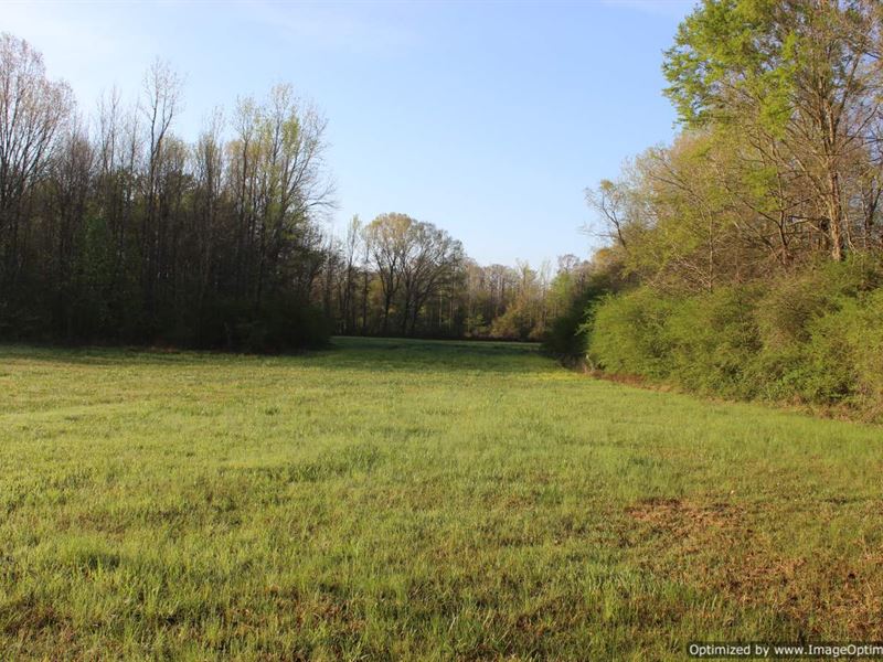 Perfect 51 +/- Acre Mini Farm : Sallis : Attala County : Mississippi