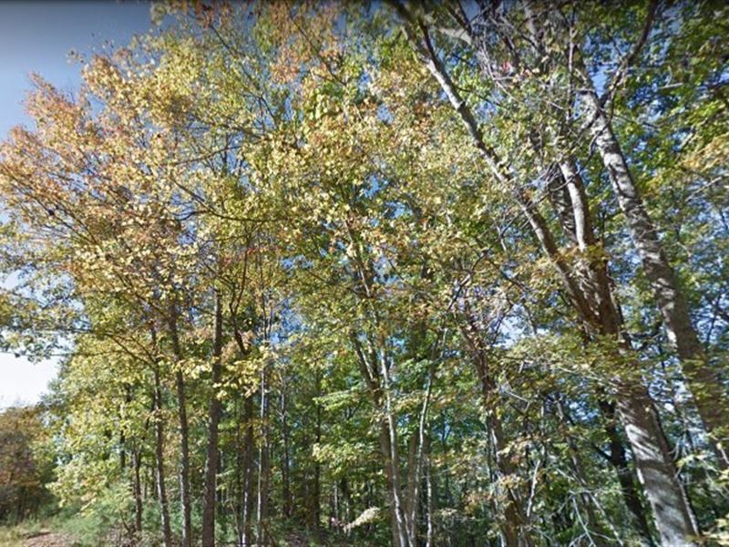 .29 Acres Lot, Smith Mountain Lake : Hardy : Franklin County : Virginia