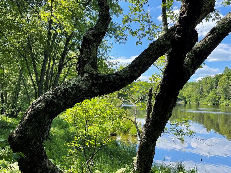 Paint River South, Gov't Lot 7 : Crystal Falls : Iron County : Michigan