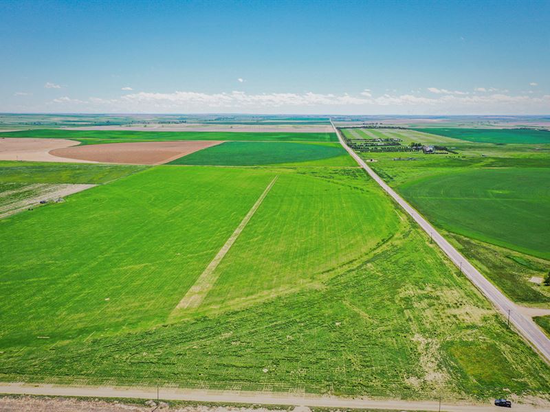 Strasburg Irrigated Farm and Home : Strasburg : Adams County : Colorado