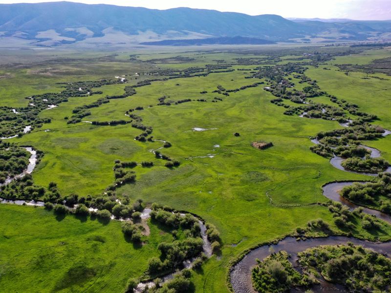 Olson Ranch : Laramie : Albany County : Wyoming