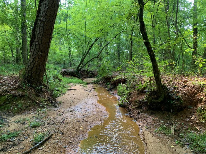 10.05 Acre House Lot : Monticello : Jasper County : Georgia