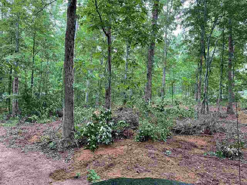 Undeveloped & Isolated : Covington : Newton County : Georgia