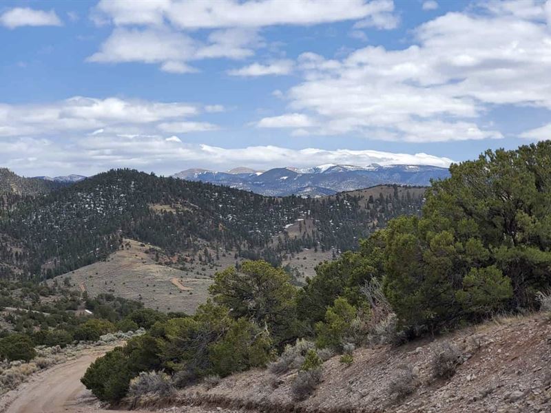 Get Out of The Rut and Come To CO : Fort Garland : Costilla County : Colorado